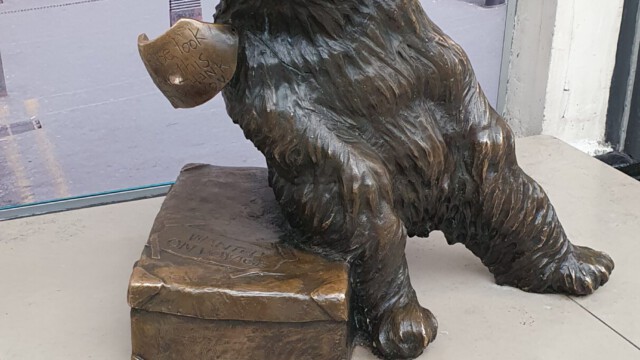 Falls ihn jemand nicht kennt: Paddington